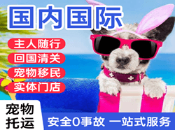 大长山机场空运国际宠物托运 【国